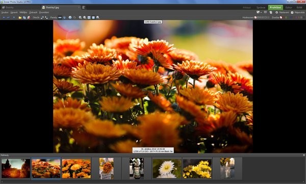 Zoner Photo Studio Pro数码照片处理软件16|天然软件园