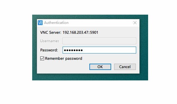 VNC Viewer6.19|天然软件园