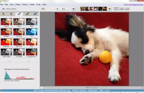 Google Picasa3.9 中文版|天然软件园