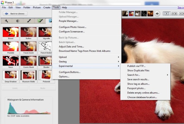 图片[7]|Google Picasa3.9 中文版|天然软件园