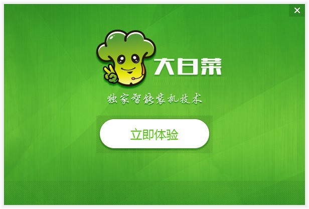 大白菜u盘装系统工具官方下载