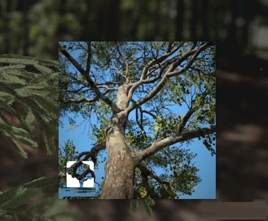 SpeedTree Modeler免费下载