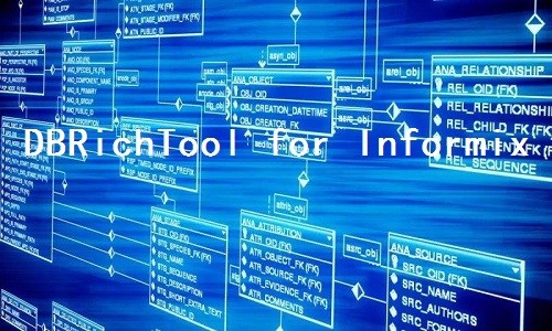 DBRichTool for Informix1.2 官方版|天然软件园