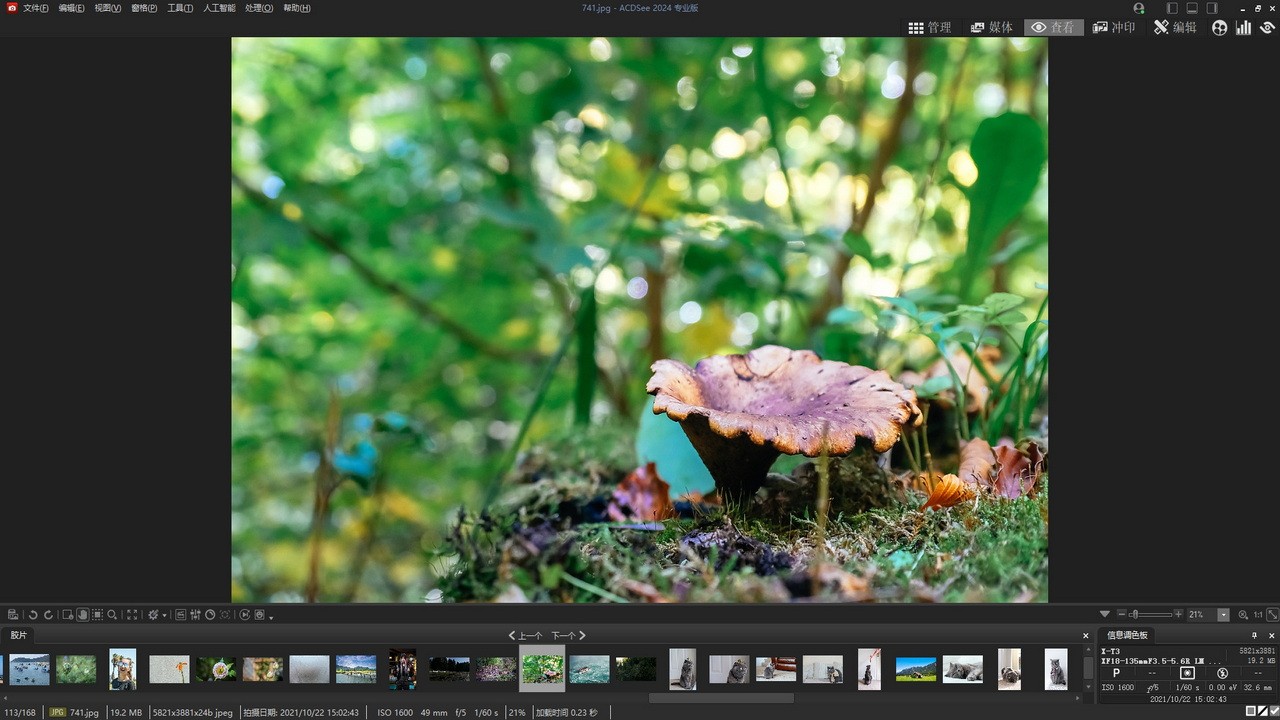 图片[2]|ACDSee 2024 专业版17.0.2.2690|天然软件园