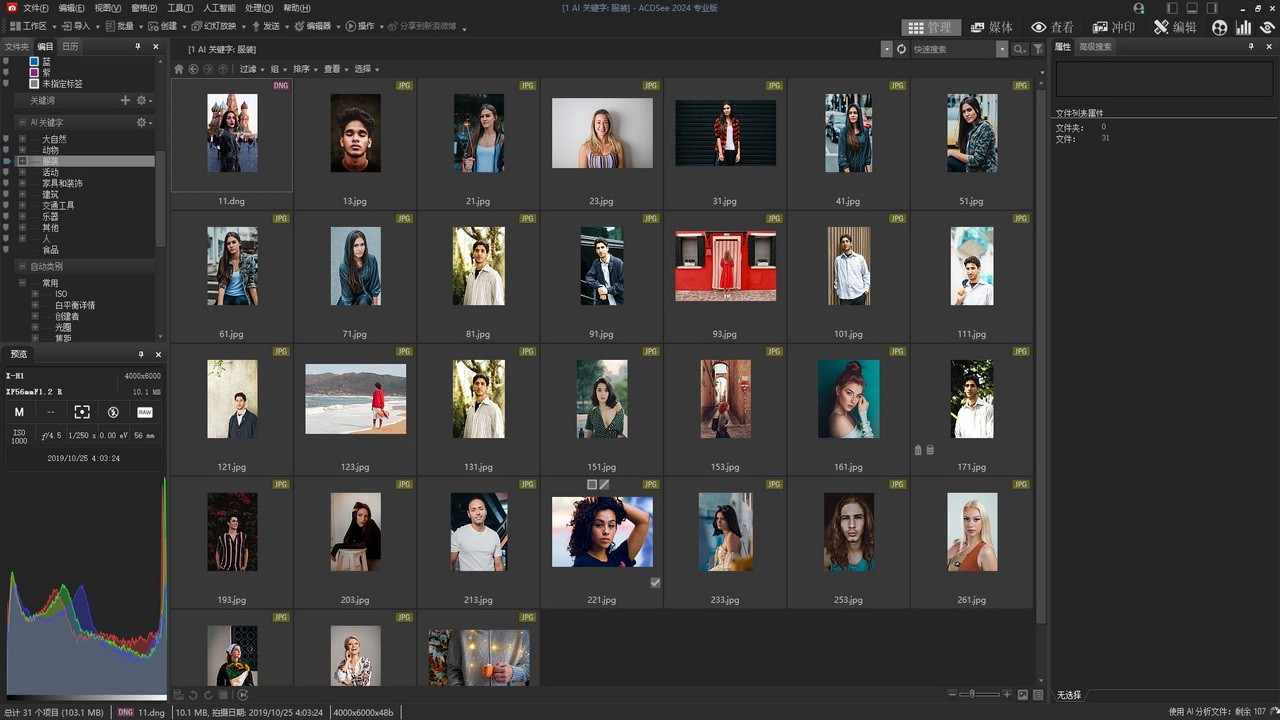 图片[4]|ACDSee 2024 专业版17.0.2.2690|天然软件园