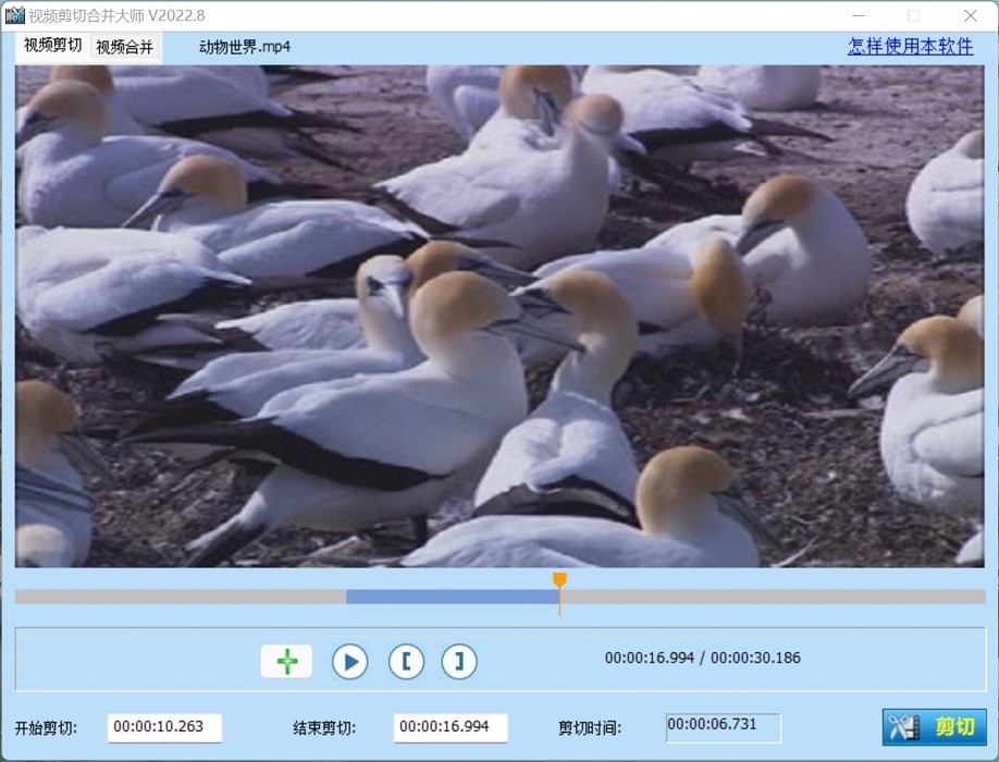 视频编辑精灵 视频编辑精灵