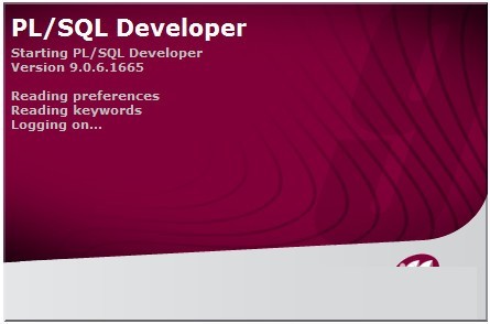 PLSQL Developer 64位
