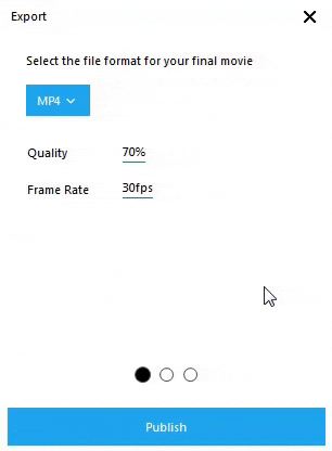 Video Detailer官方下载