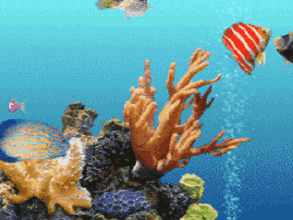 海底世界动态屏保|天然软件园