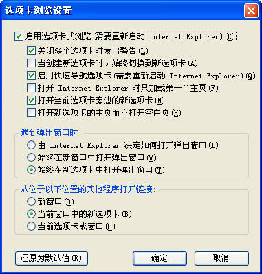 Internet Explorer 7.0中文版|天然软件园