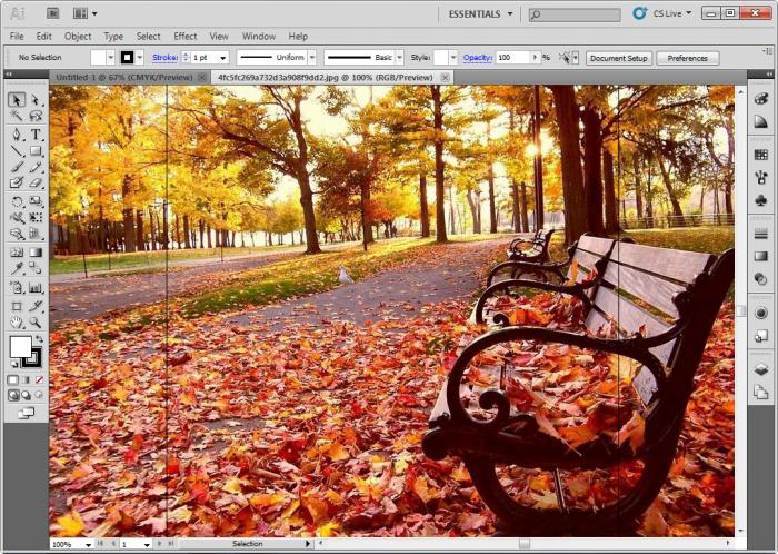 图片[7]|Adobe Illustrator CS11.0简体中文版|天然软件园