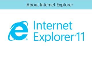 Internet Explorer 11|天然软件园