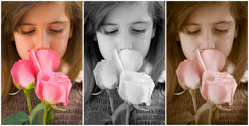 图片[5]|Adobe Camera Raw11.3|天然软件园