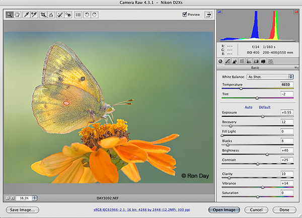 Adobe Camera Raw11.3|天然软件园